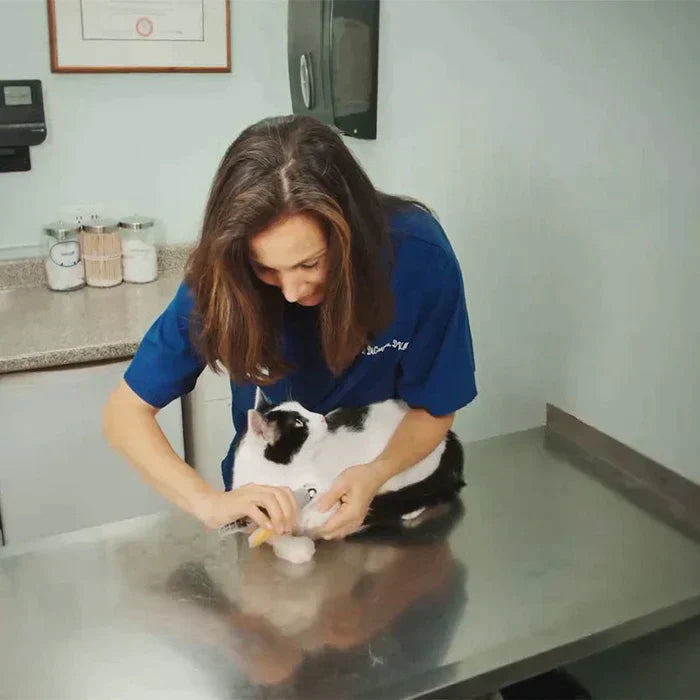 Dog Nail Clipper With Quick Sensors With LED Lights